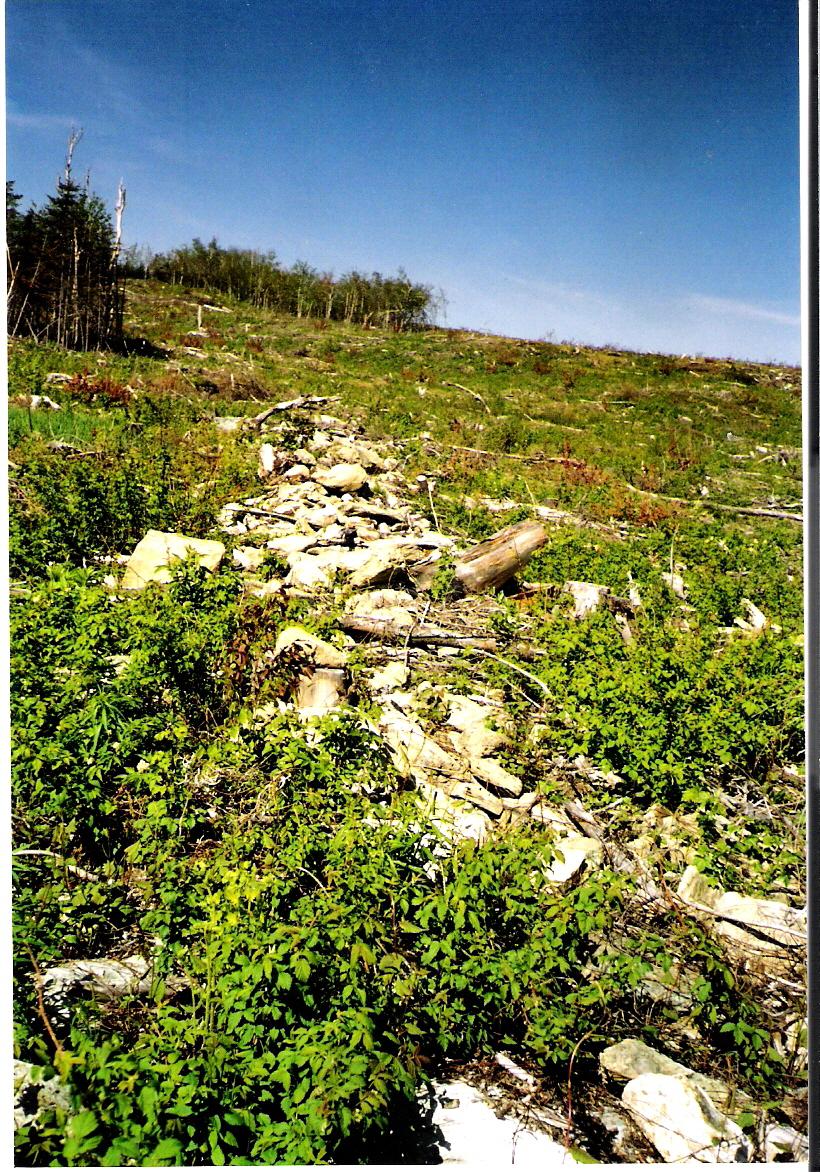 Figure 2: Free standing stone fencing in New ireland